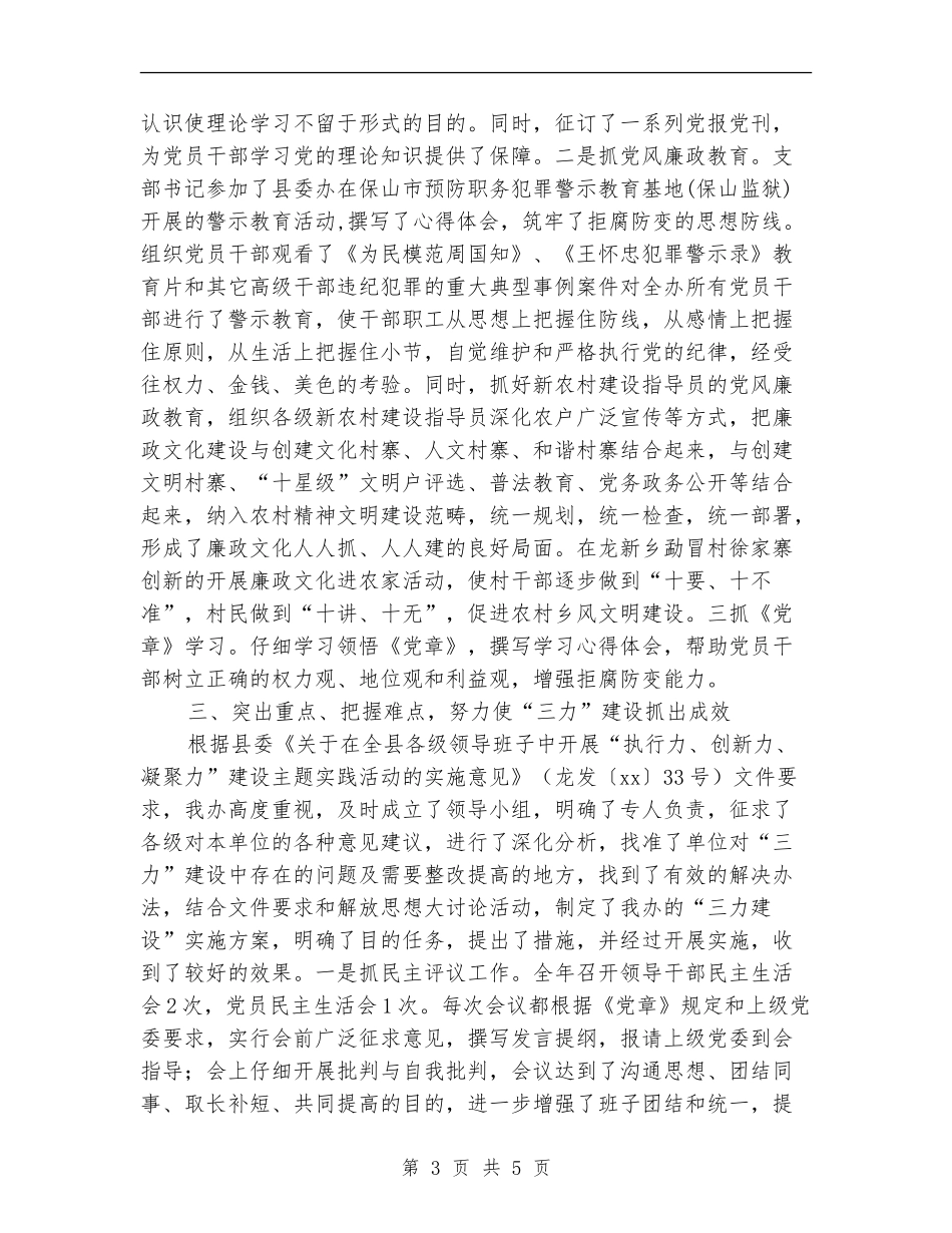 2024年11月新农办党支部工作总结_第3页