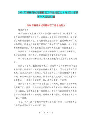 2024年程序员试用期转正工作总结范文1与2024年税务个人总结汇编