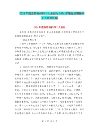 2024年底急诊科护师个人总结与2024年底总经理秘书个人总结汇编