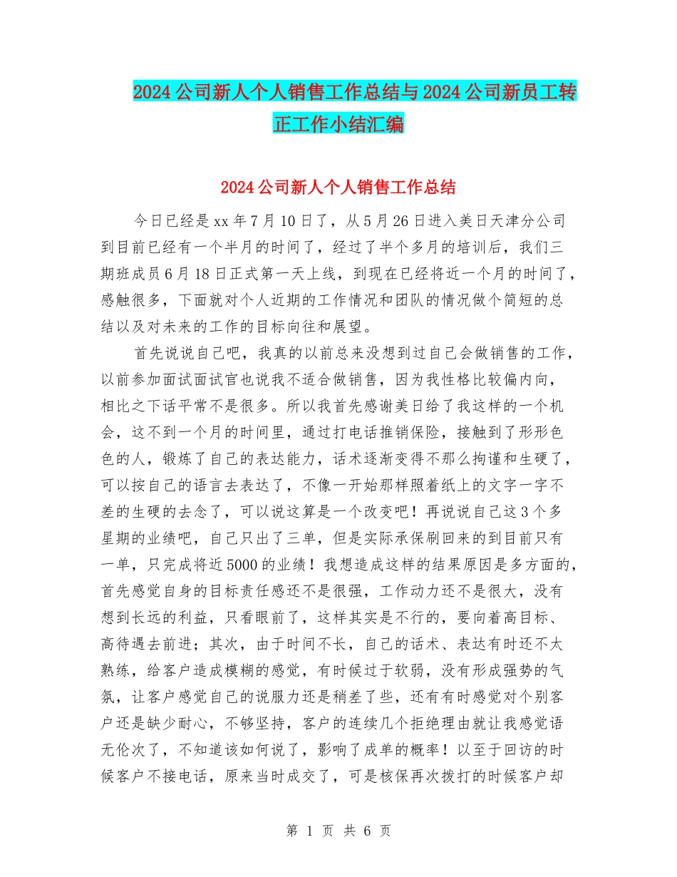 2024公司新人个人销售工作总结与2024公司新员工转正工作小结汇编_第1页