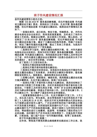 班子作风建设情况汇报