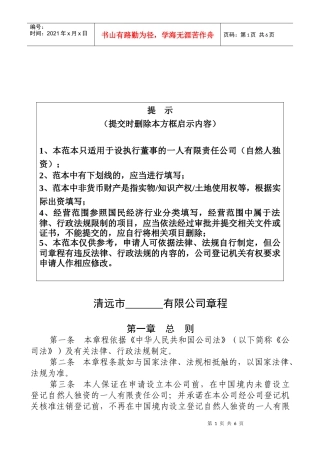 设执行董事的一人有限责任公司章程