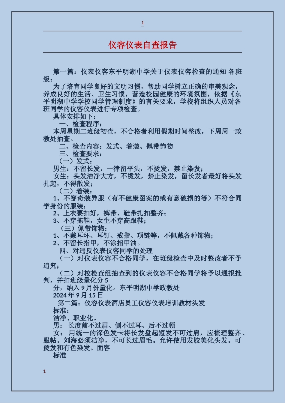 仪容仪表自查报告_第1页