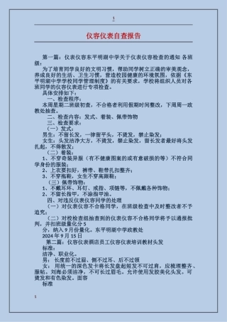 仪容仪表自查报告