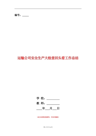 运输公司安全生产大检查回头看工作总结