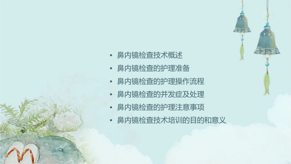 鼻内镜检查技术培训护理课件_第2页