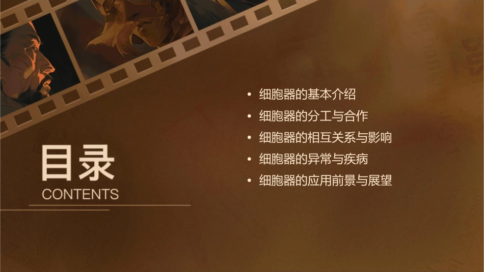 细胞器——系统内的分工合作课件_第2页