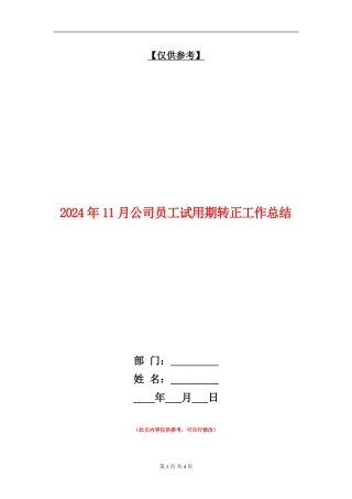 2024年11月公司员工试用期转正工作总结【最新版】