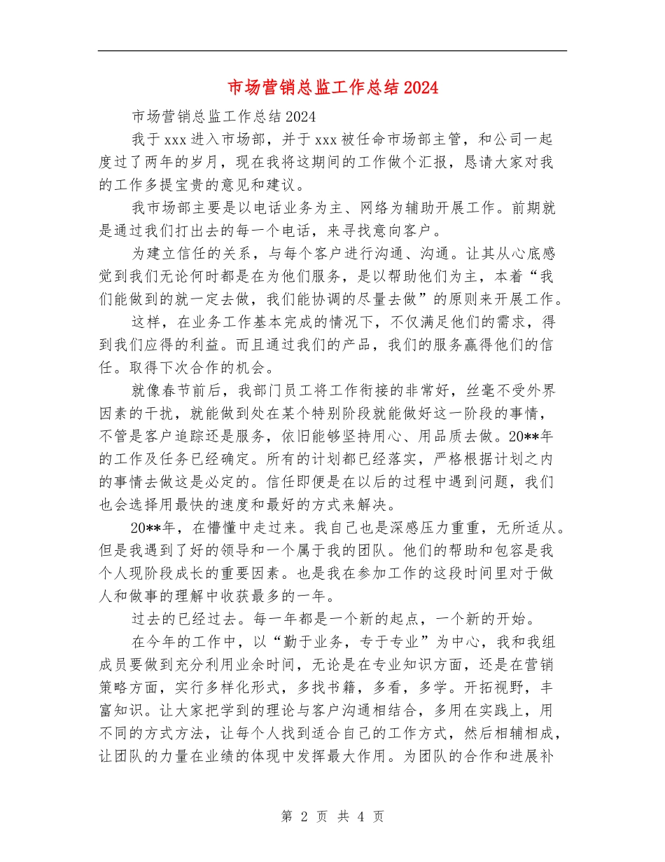 市场营销总监工作总结2024_第2页