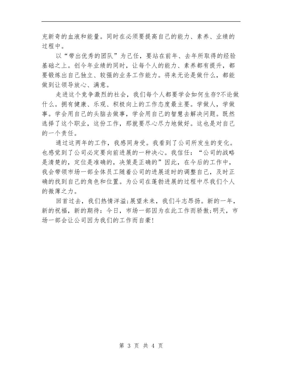 市场营销总监工作总结2024_第3页