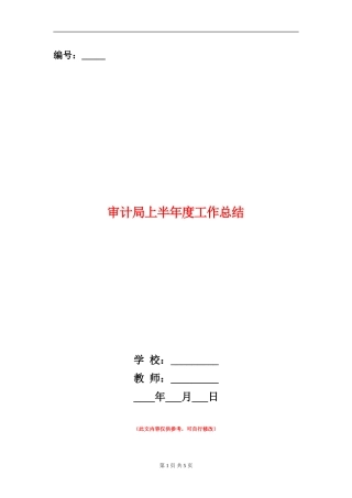 审计局上半年度工作总结