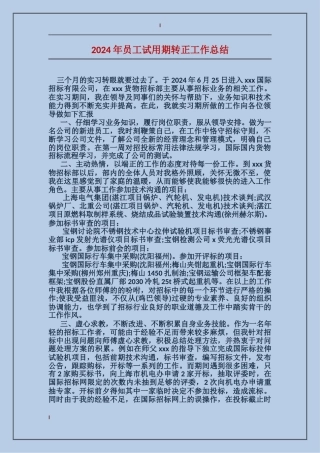 2017年员工试用期转正工作总结