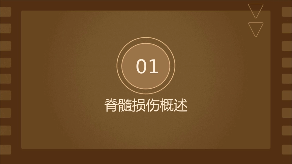 脊髓损伤康复治疗课件_第3页