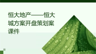恒大地产——恒大城方案开盘策划案课件