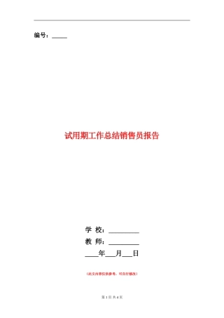 试用期工作总结销售员报告