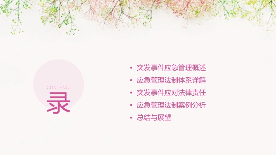 第四篇突发事件应急管理法制教学课件_第2页