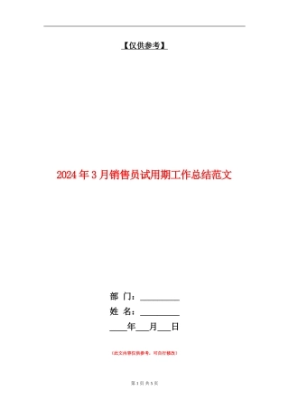 2024年3月销售员试用期工作总结范文