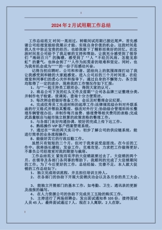 2024年2月试用期工作总结