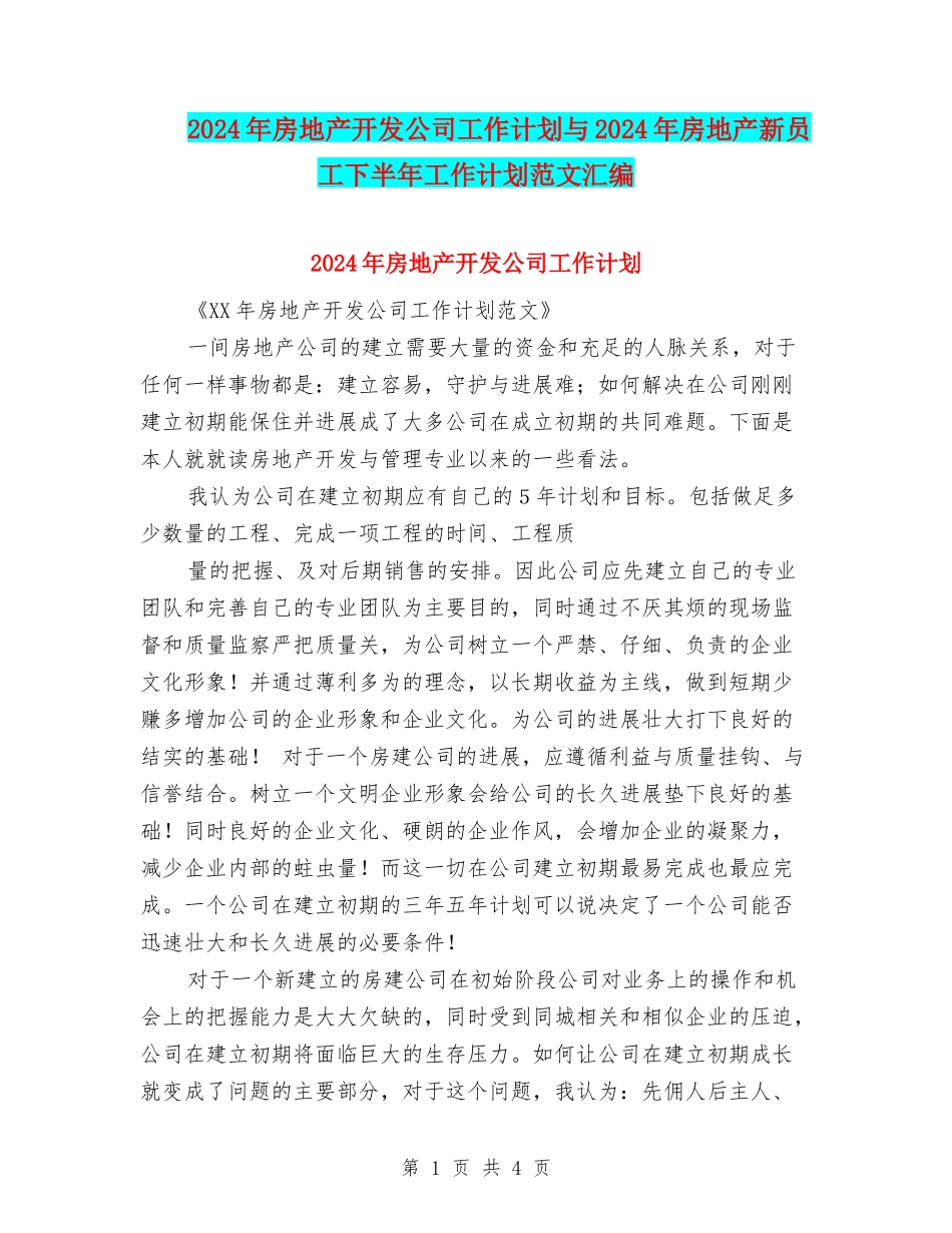 2024年房地产开发公司工作计划与2024年房地产新员工下半年工作计划范文汇编_第1页