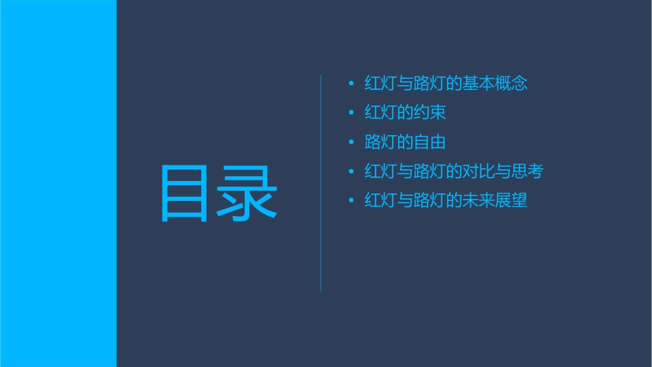 红灯的约束与路灯的自由课件_第2页