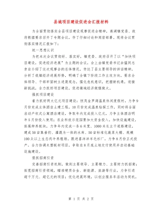 县城项目建设促进会汇报材料