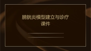 膀胱炎模型建立与诊疗课件