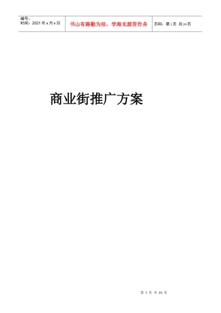 许昌某商业街推广方案