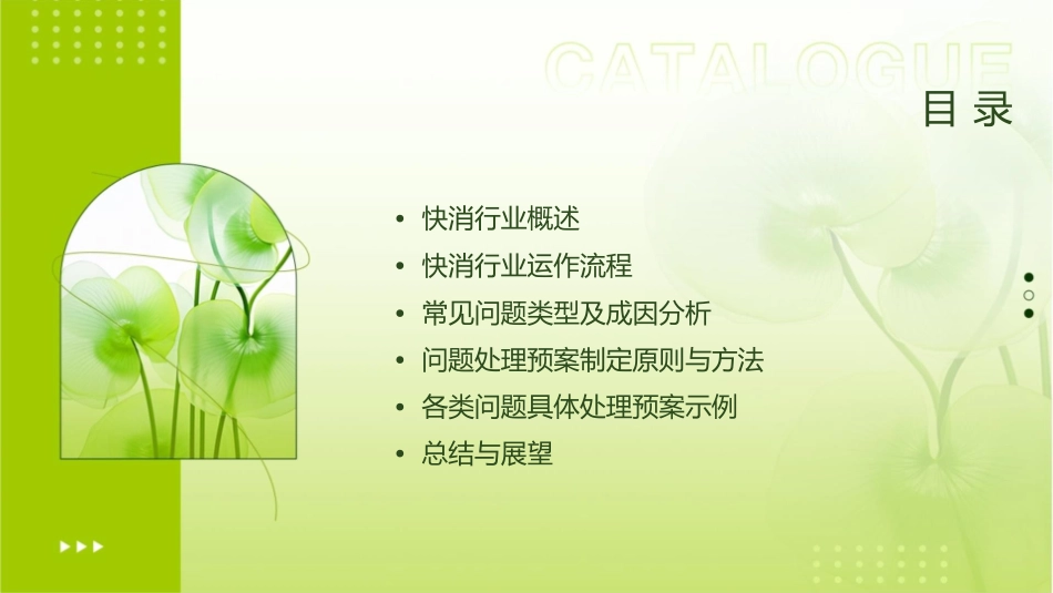 快消行业运作及常见问题分析和处理预案课件_第2页