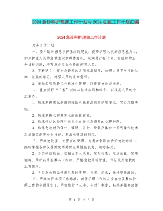 2024急诊科护理部工作计划与2024总监工作计划汇编