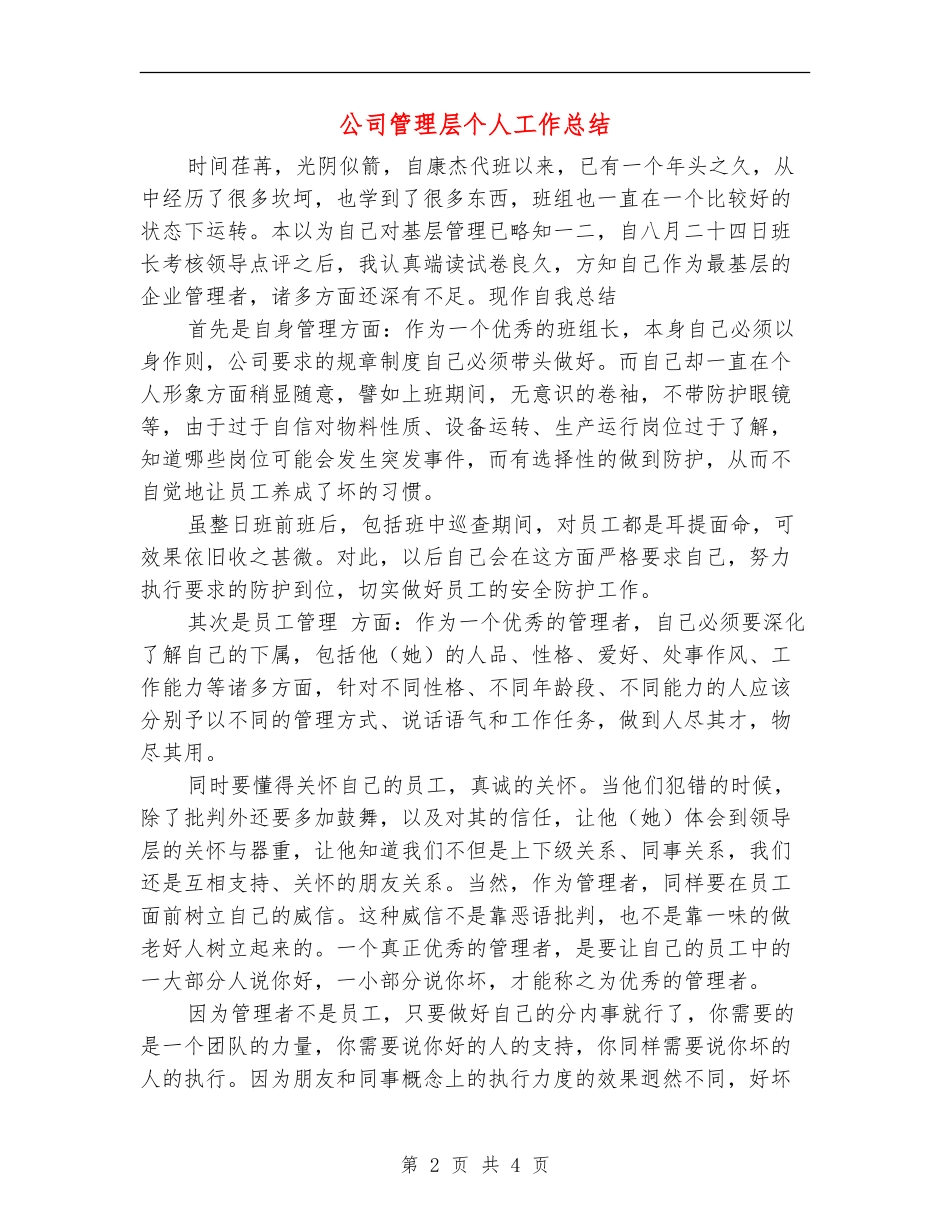公司管理层个人工作总结_第2页
