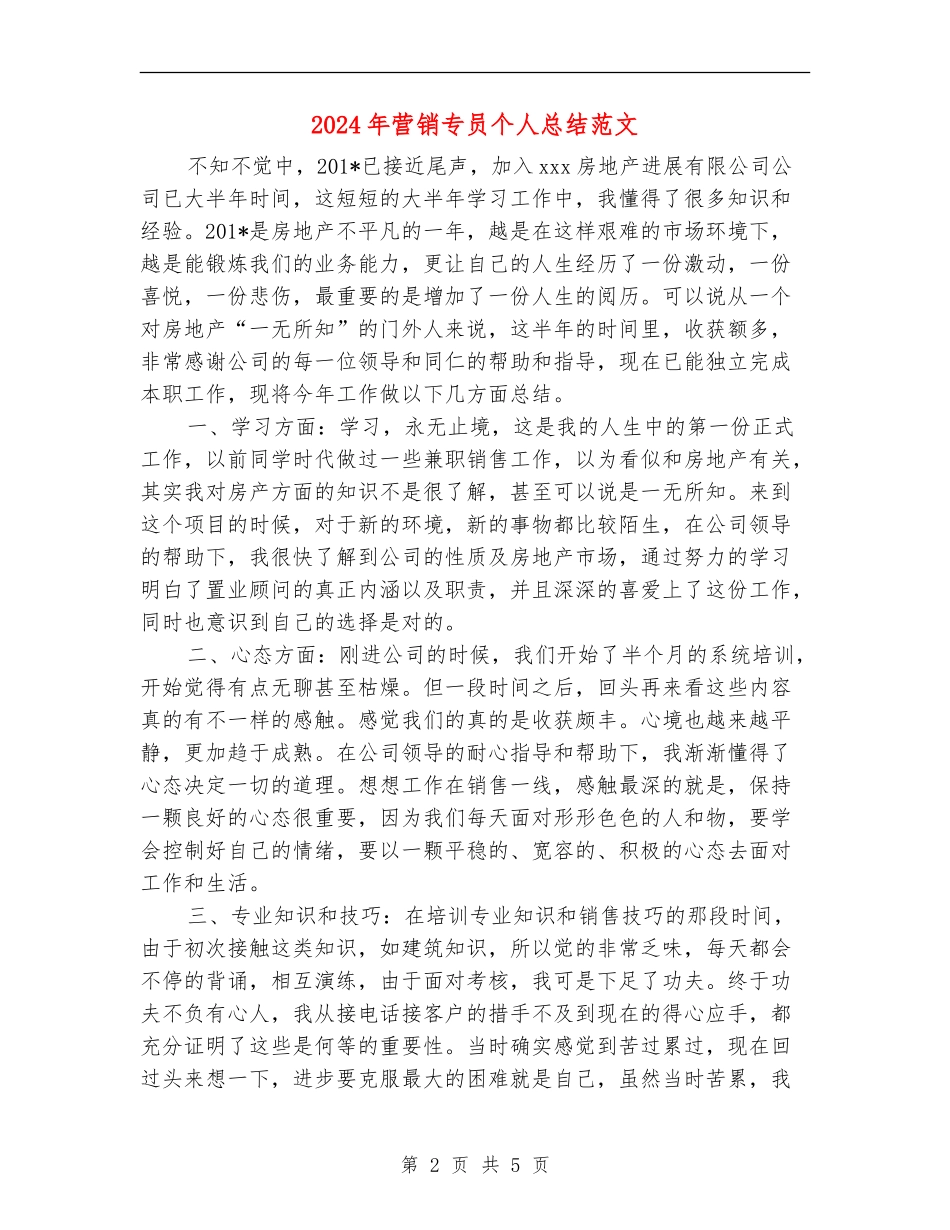 2024年营销专员个人总结范文_第2页