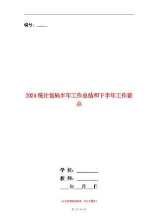 2024统计划局半年工作总结和下半年工作要点【新版】