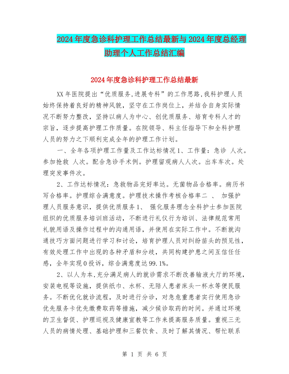 2024年度急诊科护理工作总结最新与2024年度总经理助理个人工作总结汇编_第1页