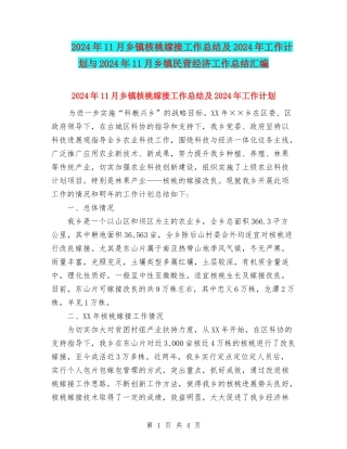 2024年11月乡镇核桃嫁接工作总结及2024年工作计划与2024年11月乡镇民营经济工作总结汇编