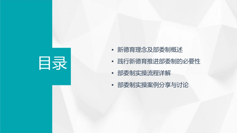 践行新德育推进部委制实操流程课件_第2页