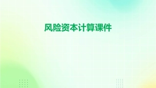 风险资本计算课件