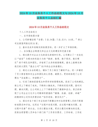 2024年10月业务员个人工作总结范文与2024年10月业务员个人总结汇编