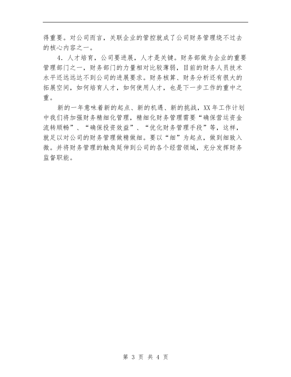 2024年企业财务管理工作计划1_第3页