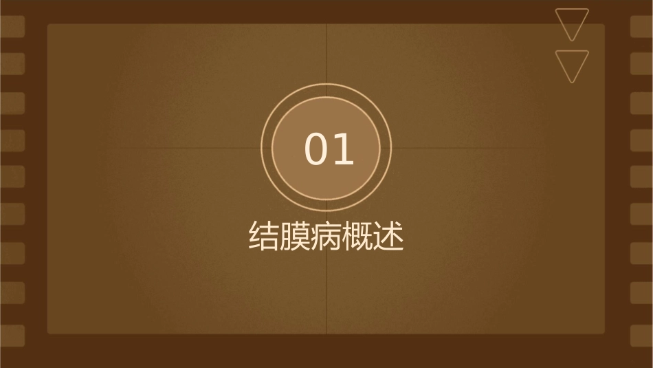 结膜病结膜病概述护理课件_第3页