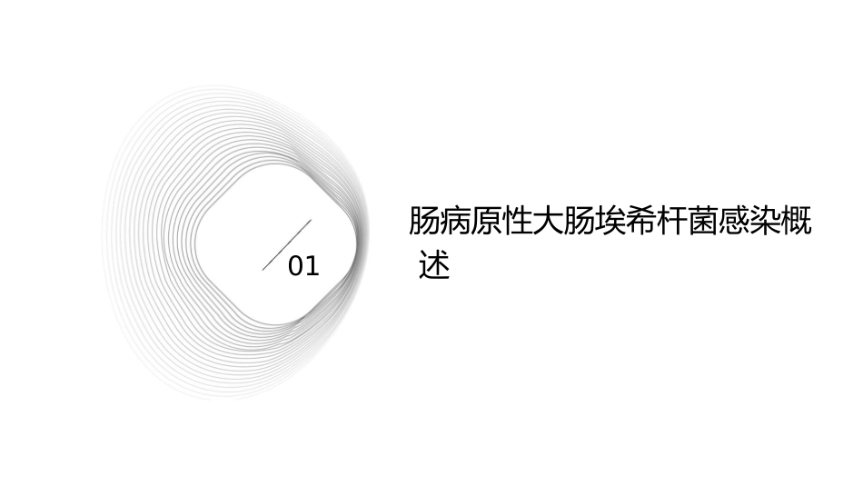 肠病原性大肠埃希杆菌感染护理课件_第3页