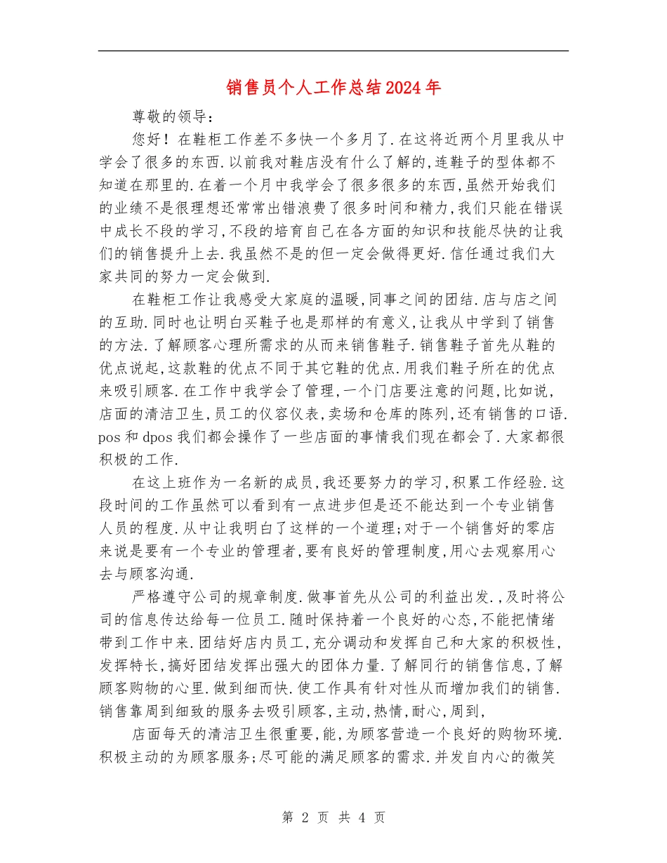 销售员个人工作总结2024年_第2页