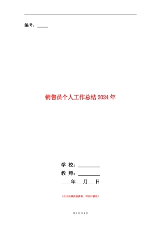 销售员个人工作总结2024年