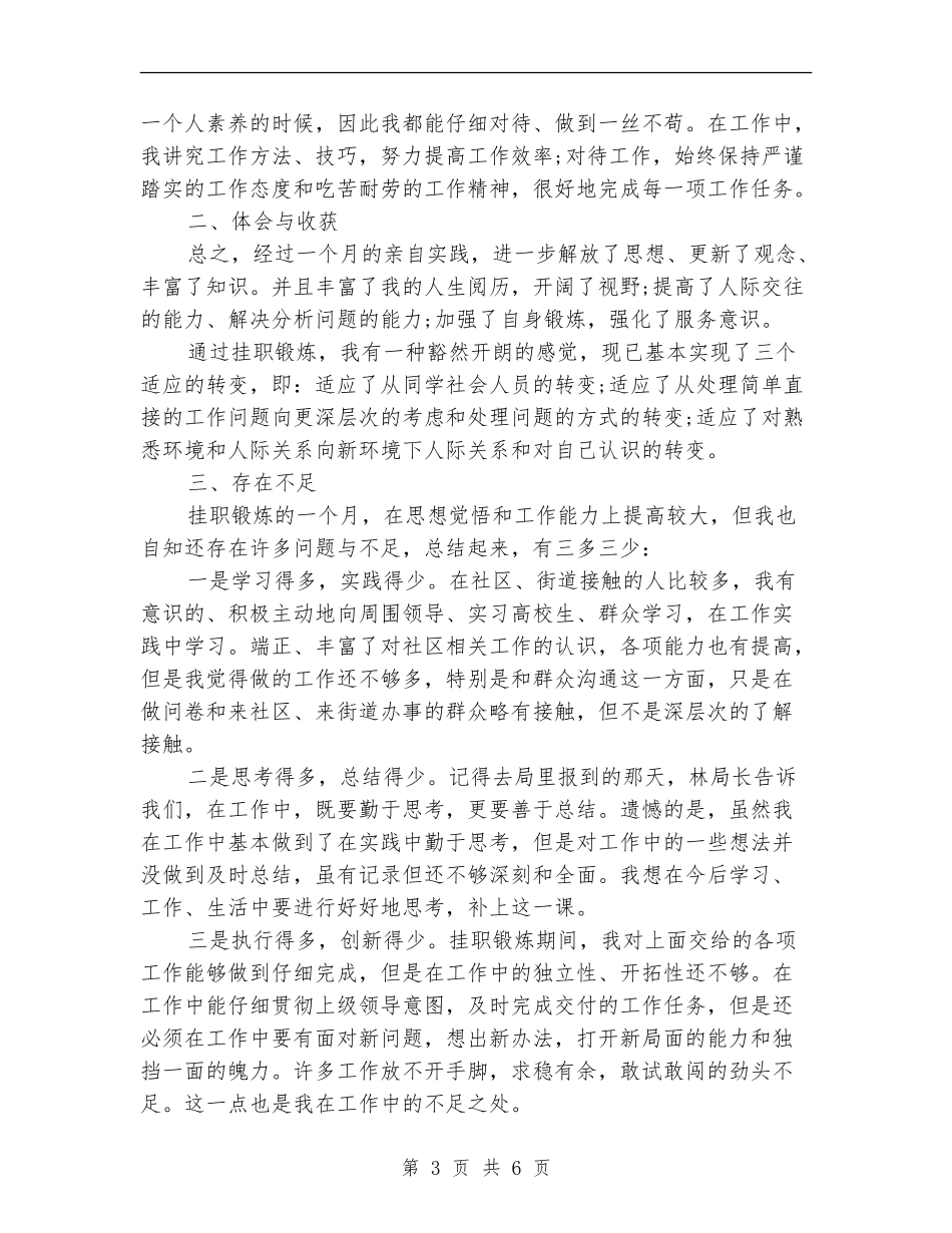 挂职锻炼年终工作总结_第3页