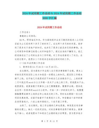 2024年试用期工作总结与2024年试用期工作总结3000字汇编