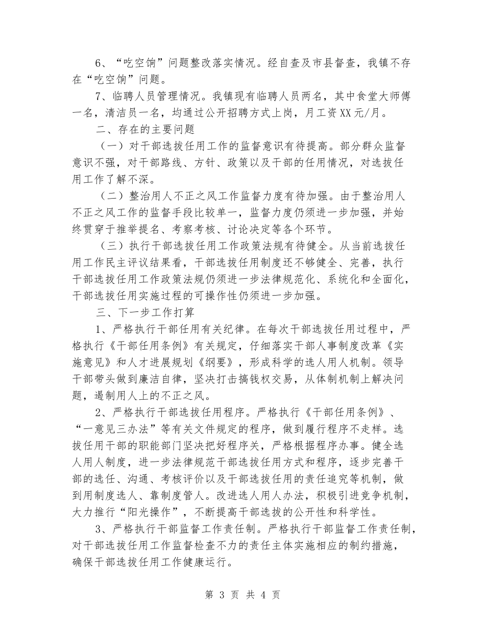 乡镇选人用人工作专题报告_第3页