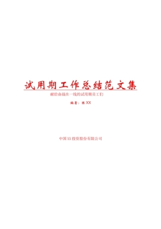 试用期工作总结范文集