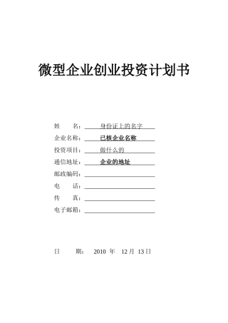 试议微型企业创业投资计划书