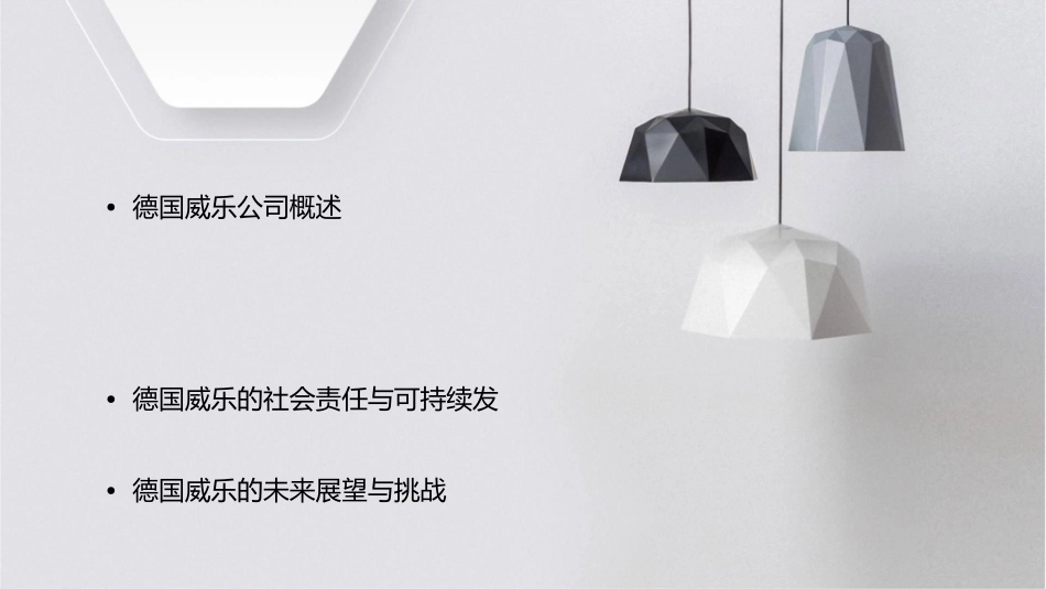 德国威乐综合样本课件_第2页