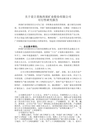 设立股份公司可行性研究报告