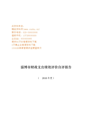 淄博市财政支出绩效评价自评报告范本